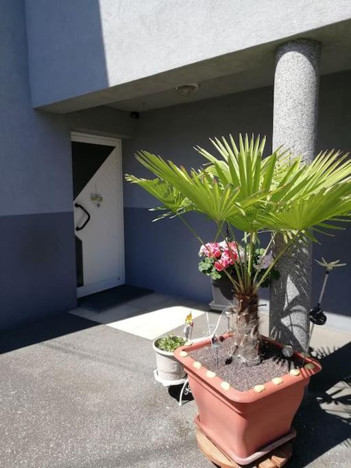 Appartement Agreable Αγκνώ Εξωτερικό φωτογραφία